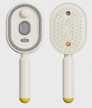 Elektrische Stoom Haarborstel met Waternevel - Anti-Frizz & Massage