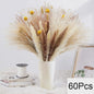 Natuurlijk Pampas Gras Boeket - Gedroogde Bloemen voor Boho Woondecoratie & Bruiloft