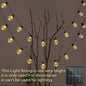 Solar LED Slinger Verlichting - Sfeervolle Tuindecoratie met 10/20/38 Lampjes
