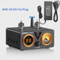 AIYIMA T9 PRO HiFi Bluetooth 5.2 Tube Versterker met VU Meter - 100W x 2 Stereo Audio Amp met USB DAC, COAX & OPT