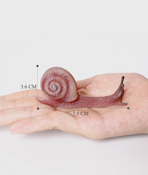 Realistische Insecten & Slakken Modellen - Educatief Speelgoed, Verzamelen & Decoratie