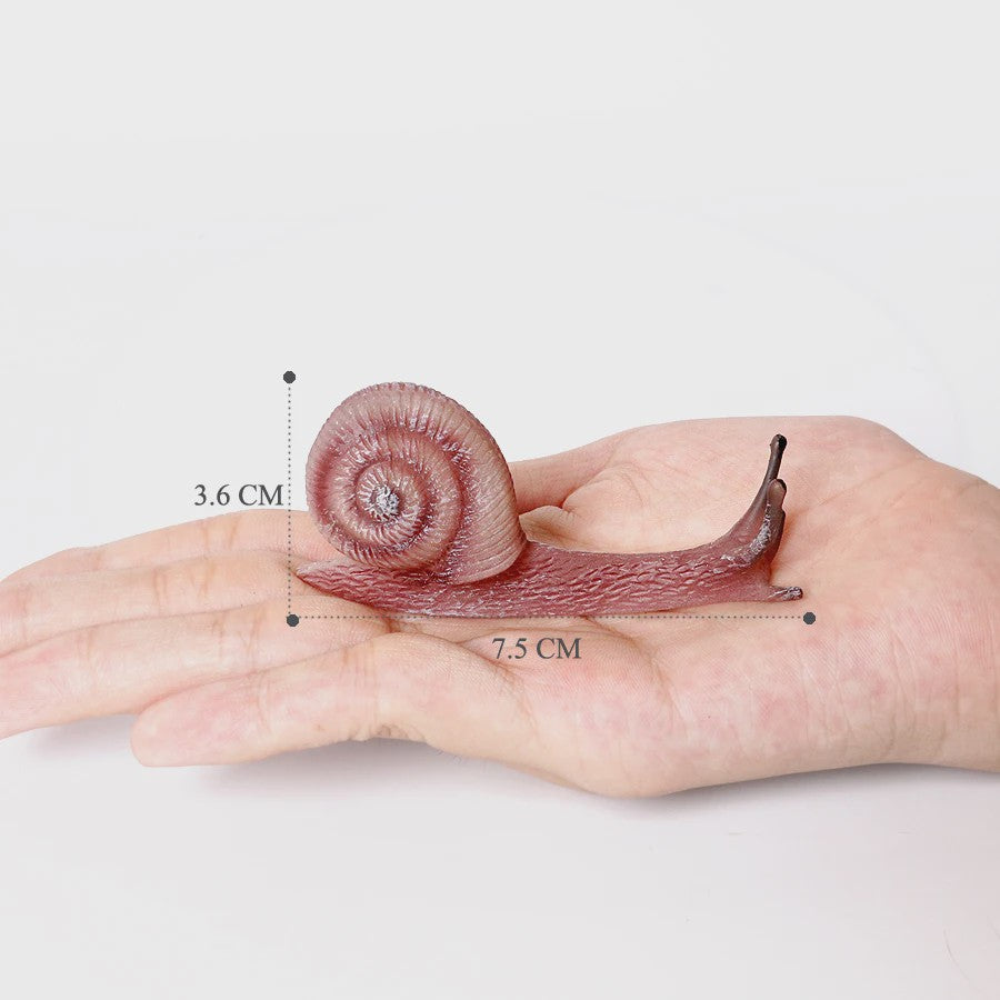Realistische Insecten & Slakken Modellen - Educatief Speelgoed, Verzamelen & Decoratie