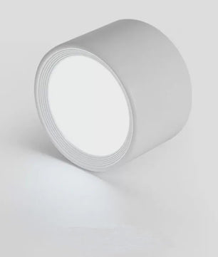 Moderne LED Plafondspot - Opbouw Downlight met 3 Kleurtemperaturen