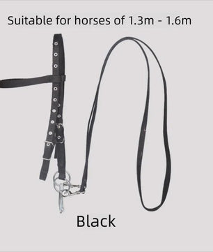 Verstelbaar Paard Halster met Longeerlijn Set - Nylon, 2.5m Lijn