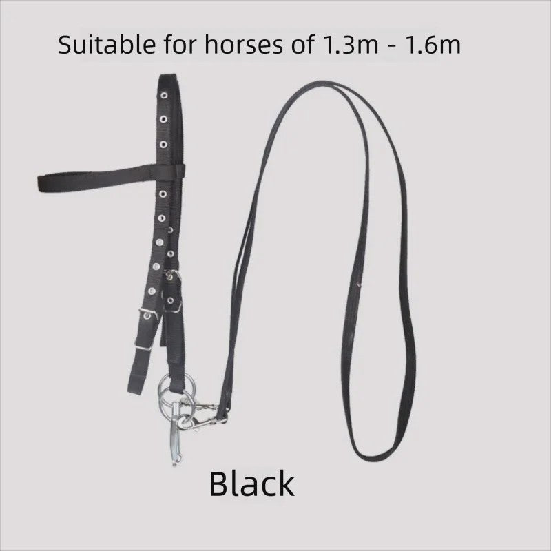 Verstelbaar Paard Halster met Longeerlijn Set - Nylon, 2.5m Lijn
