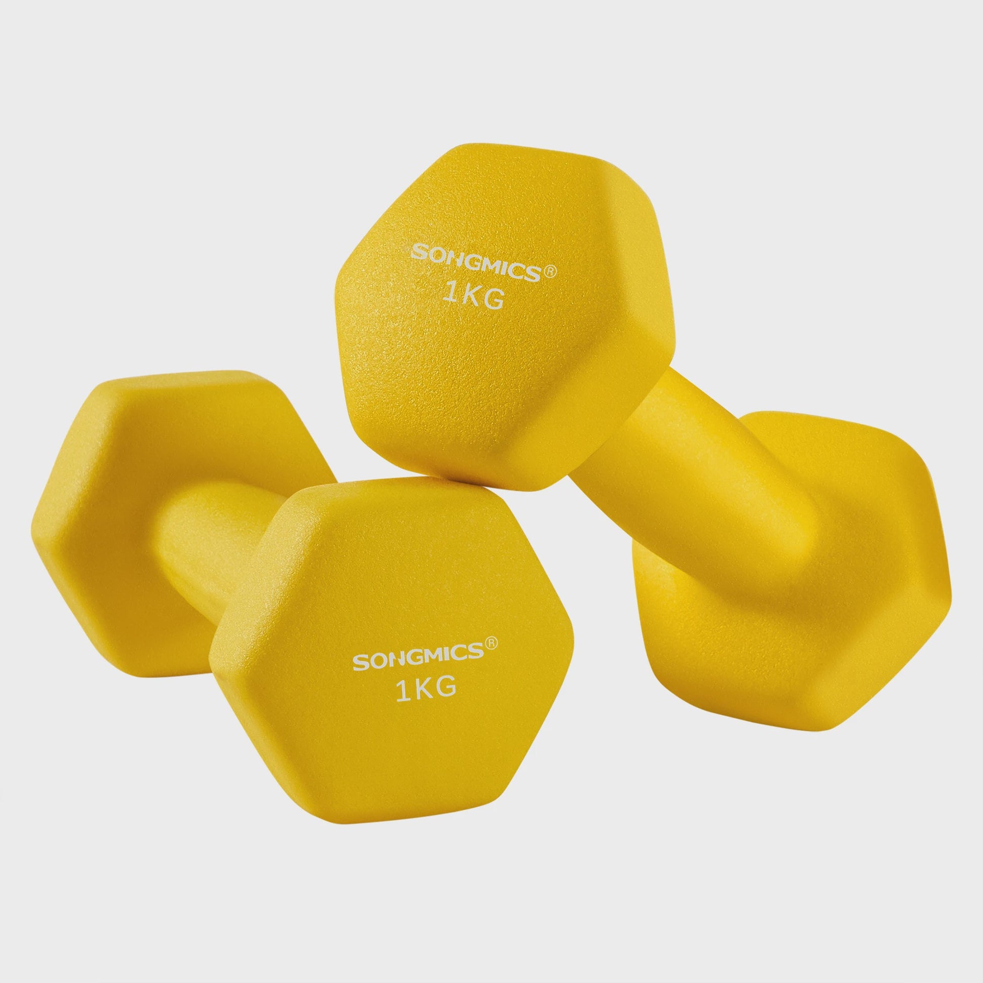 SONGMICS Halters Set (2 stuks) - Neopreen Coating, Zeskant Design - Verkrijgbaar in 1KG t/m 5KG