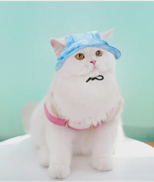 Grappige Honden- en Katten Zonnehoed met Oorgaten - Stijlvolle Tie-Dye Pet Accessoires