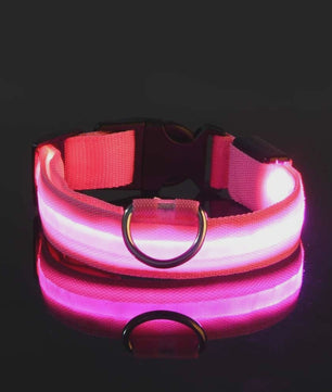LED Hondenhalsband - Oplaadbaar en Verstelbaar voor Maximale Zichtbaarheid in het Donker