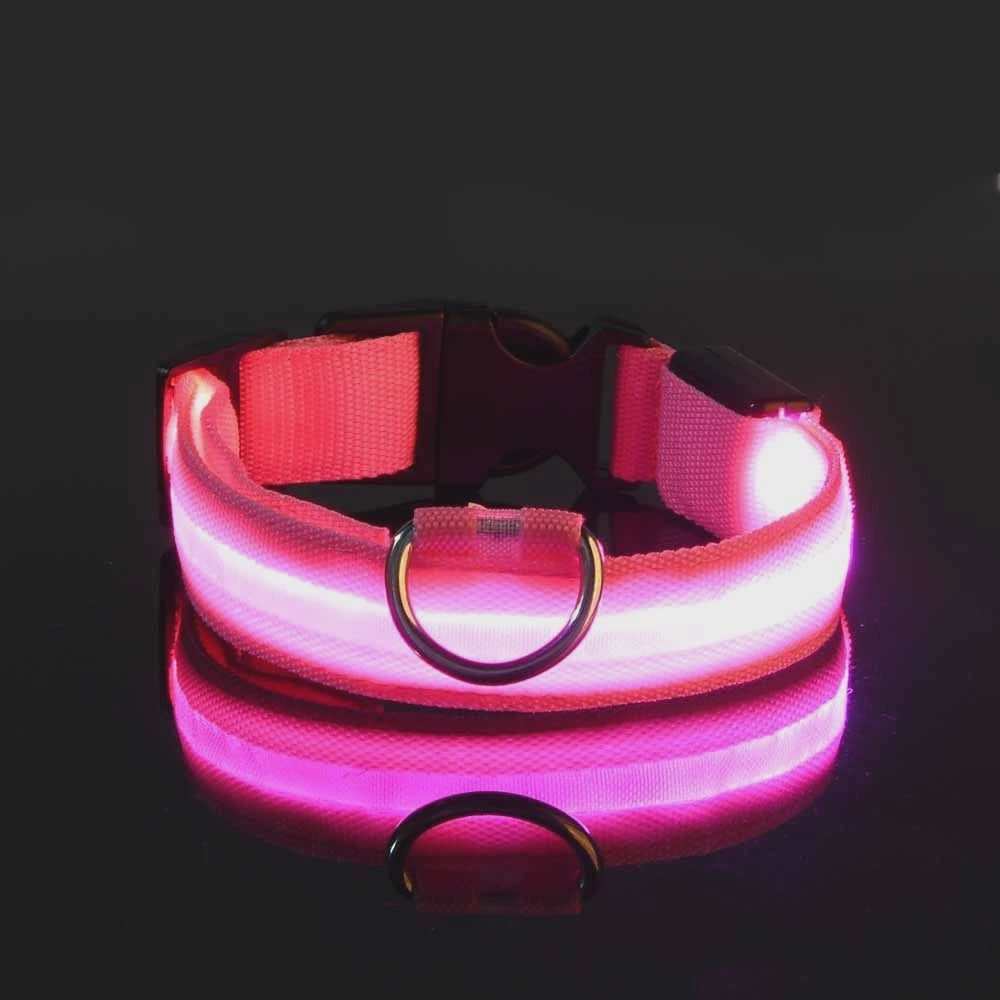 LED Hondenhalsband - Oplaadbaar en Verstelbaar voor Maximale Zichtbaarheid in het Donker