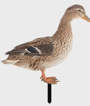 Levendige Acryl Eend Tuindecoratie met Paal - Vrolijke Tuinfiguur voor Buiten