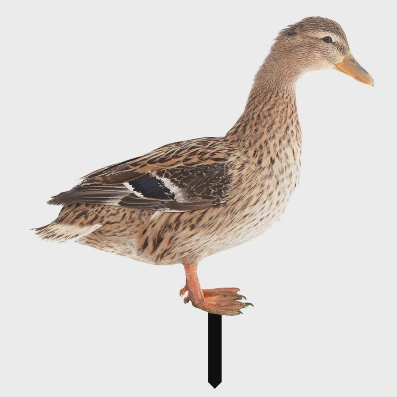 Levendige Acryl Eend Tuindecoratie met Paal - Vrolijke Tuinfiguur voor Buiten