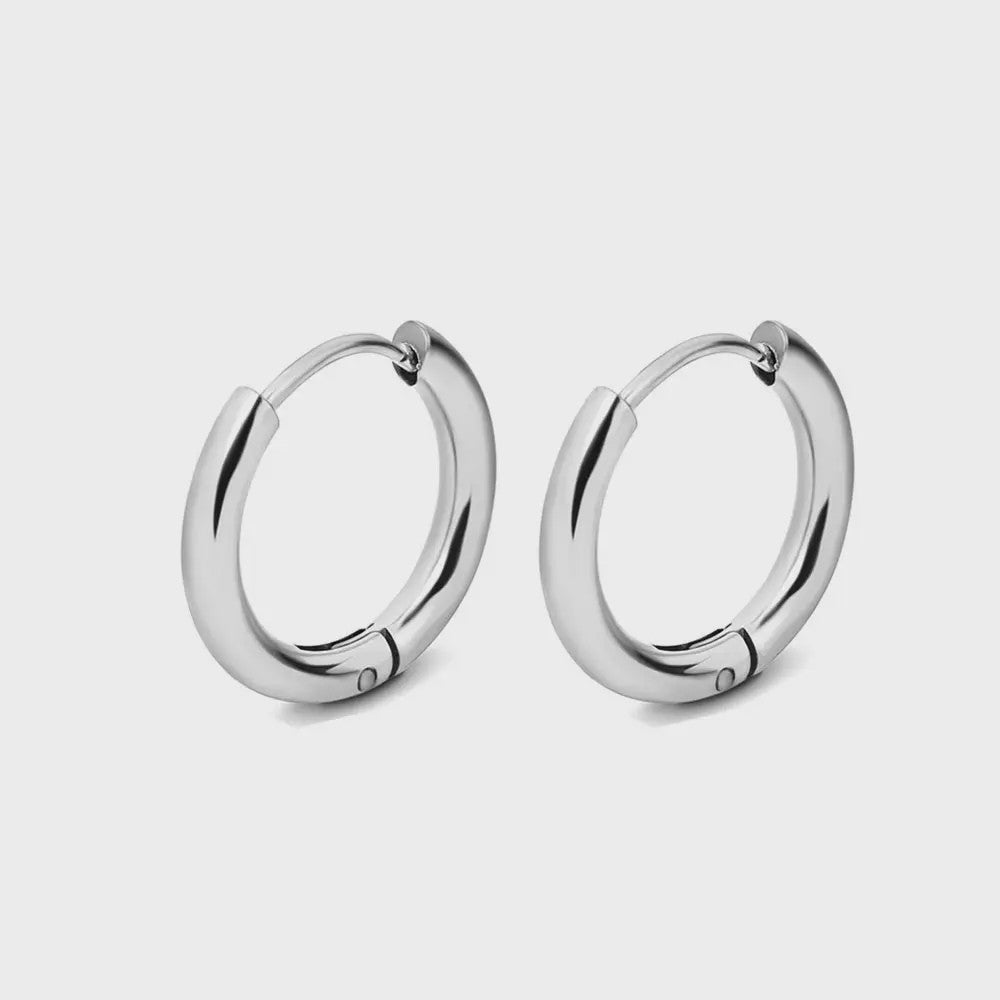 Roestvrijstalen Hoops Oorbellen - Goudkleurig, Zilver, Zwart & Regenboog - Unisex