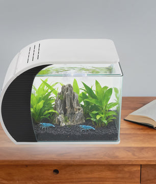 Moderne Glazen Aquarium Set met LED Verlichting en Filterpomp - 19L