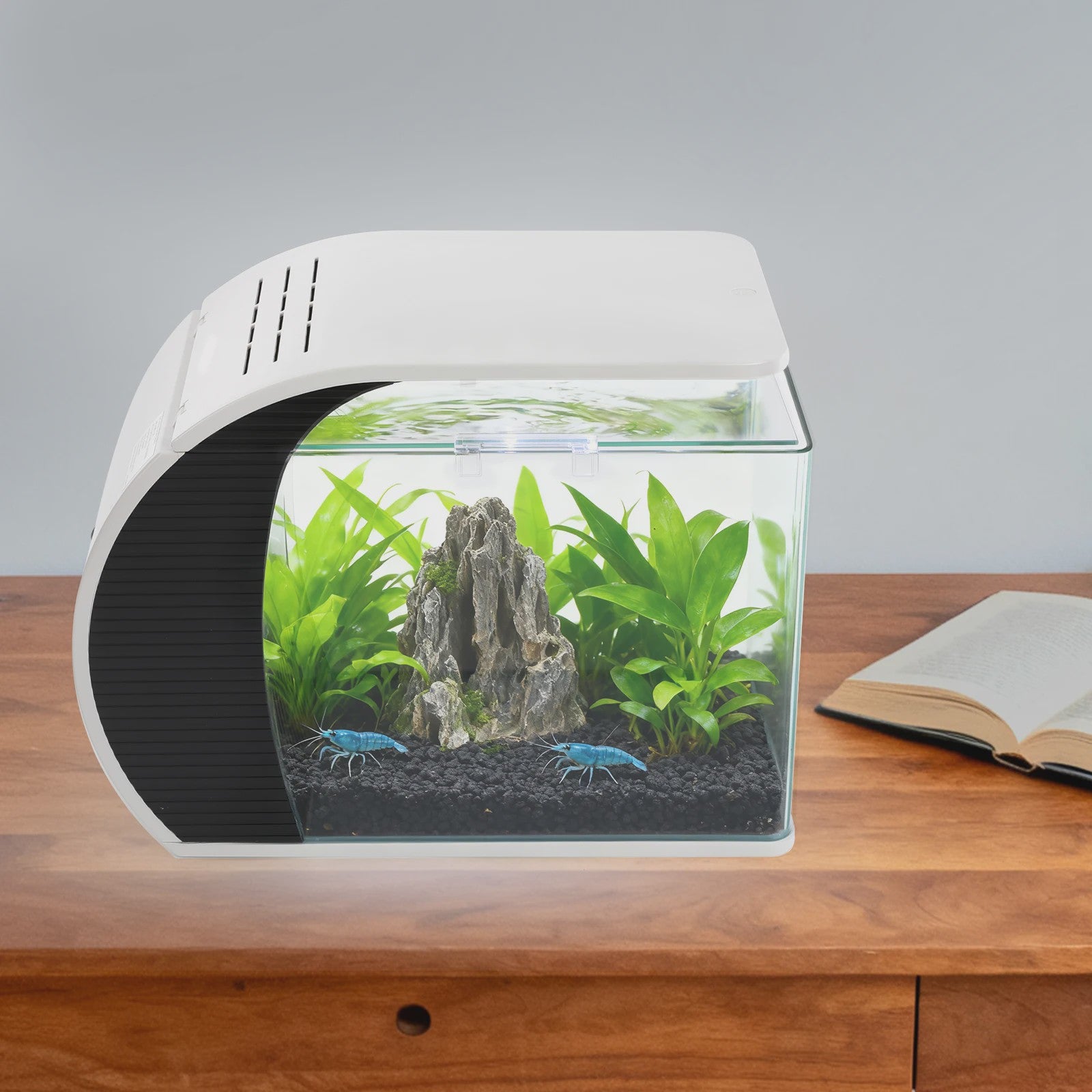 Moderne Glazen Aquarium Set met LED Verlichting en Filterpomp - 19L