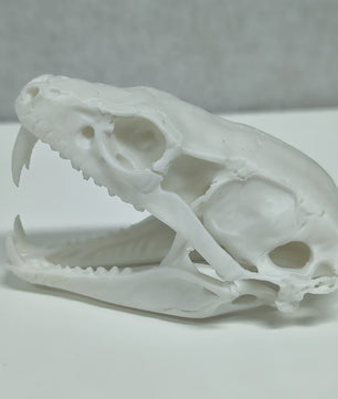 Angstaanjagend Cobra Schedel Standbeeld - Uniek Woondecoratie & Desktop Ornament