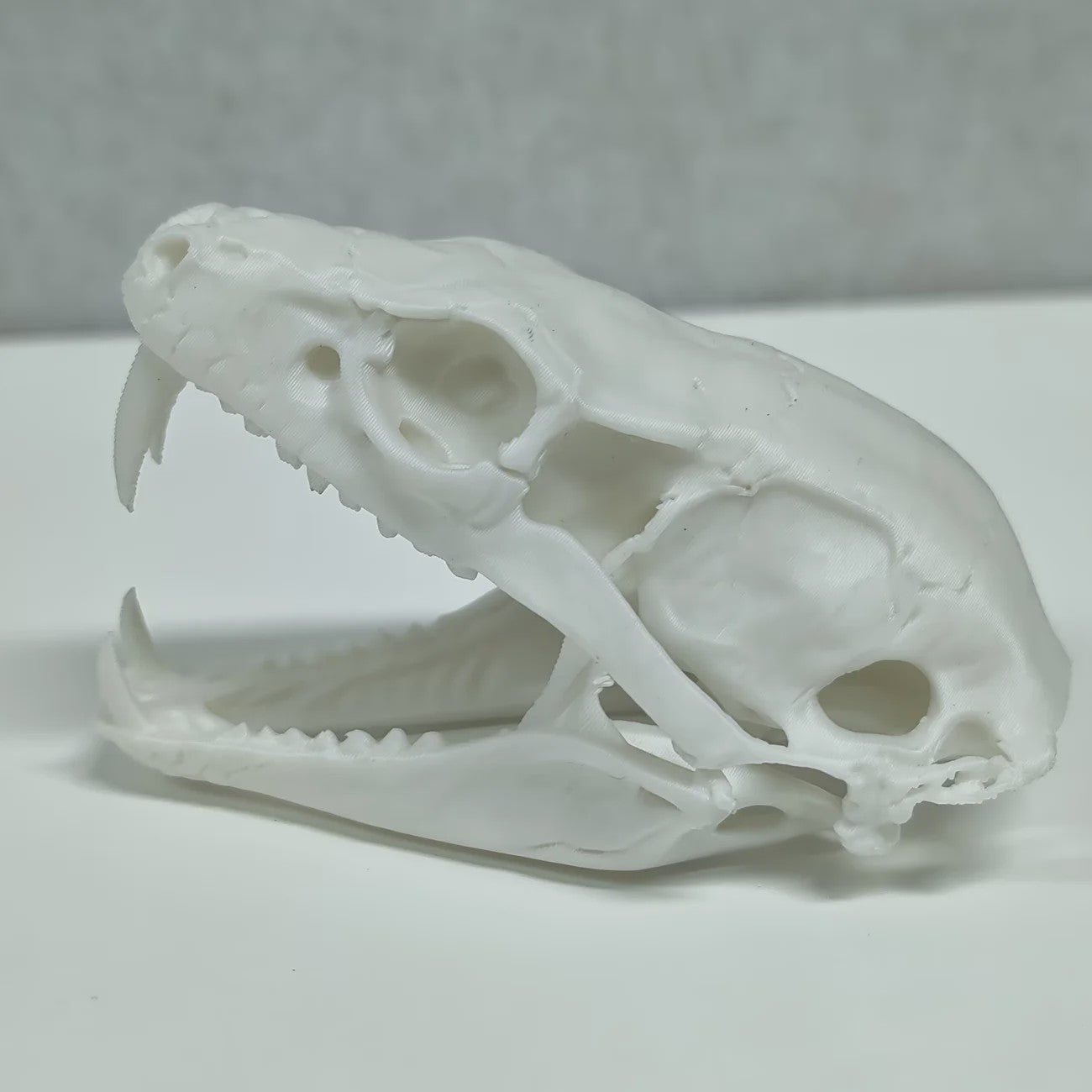 Angstaanjagend Cobra Schedel Standbeeld - Uniek Woondecoratie & Desktop Ornament