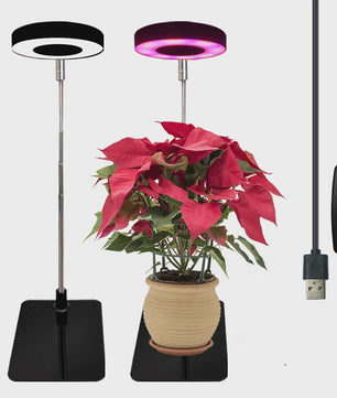 HOMEFISH LED Plantengroeilamp met Timer & Dimfunctie - Volledig Spectrum