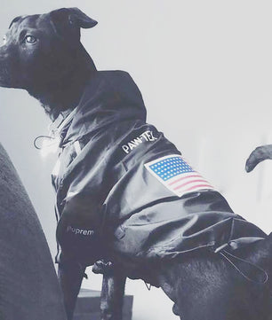 Waterdichte Hondenjas met Capuchon - Reflecterend & Verstelbaar - Voor Kleine tot Grote Honden
