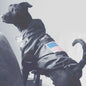 Waterdichte Hondenjas met Capuchon - Reflecterend & Verstelbaar - Voor Kleine tot Grote Honden