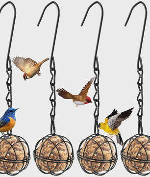 Set van 4 Metalen Vogelvoer Bollen Houders met Ketting - Eekhoornbestendig
