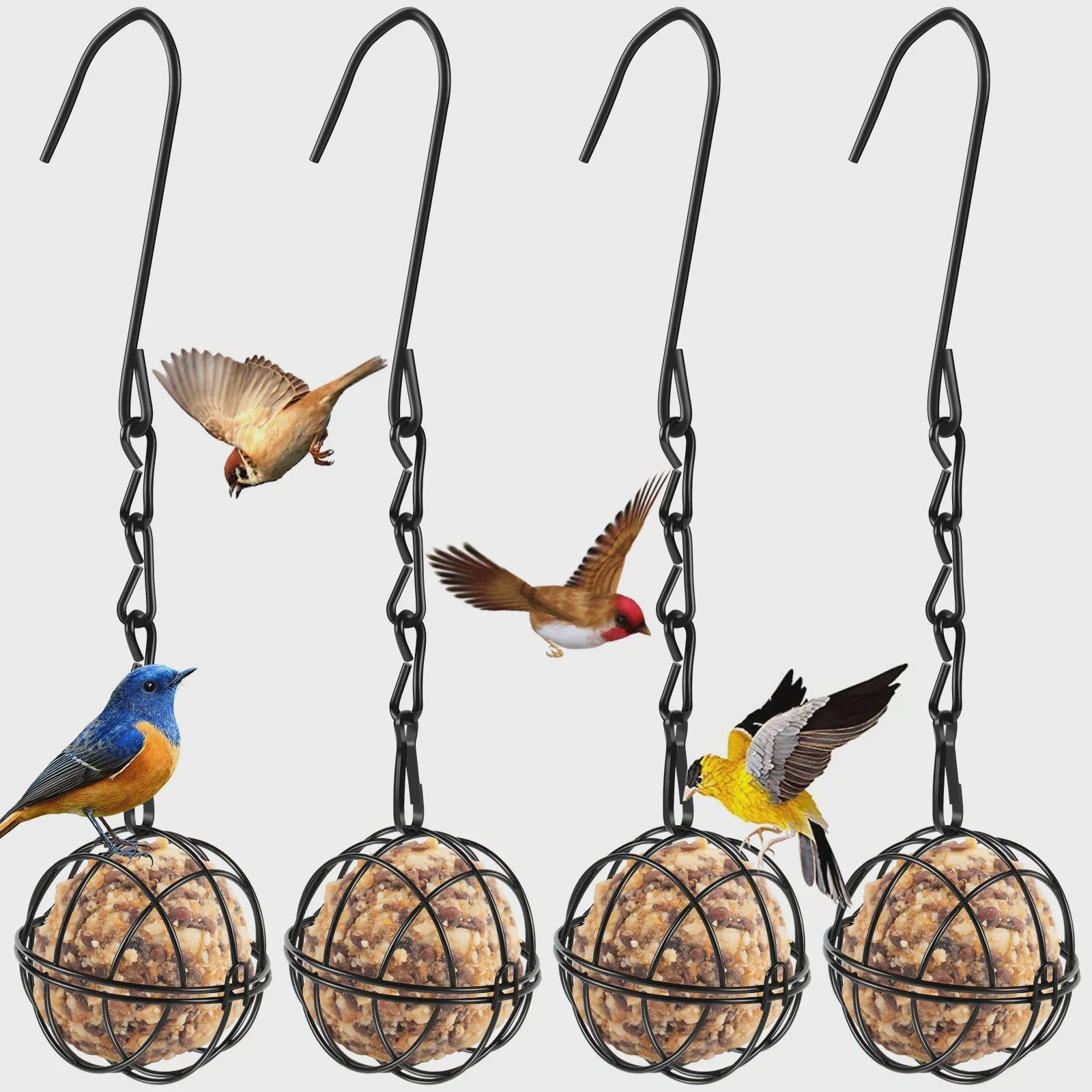 Set van 4 Metalen Vogelvoer Bollen Houders met Ketting - Eekhoornbestendig