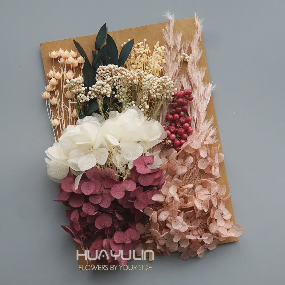 Set Gedroogde Bloemen & Hydrangea voor Ambacht & Decoratie