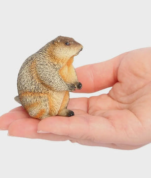 Realistische Marmot Beeldjes - PVC Sierfiguren voor Huisdecoratie