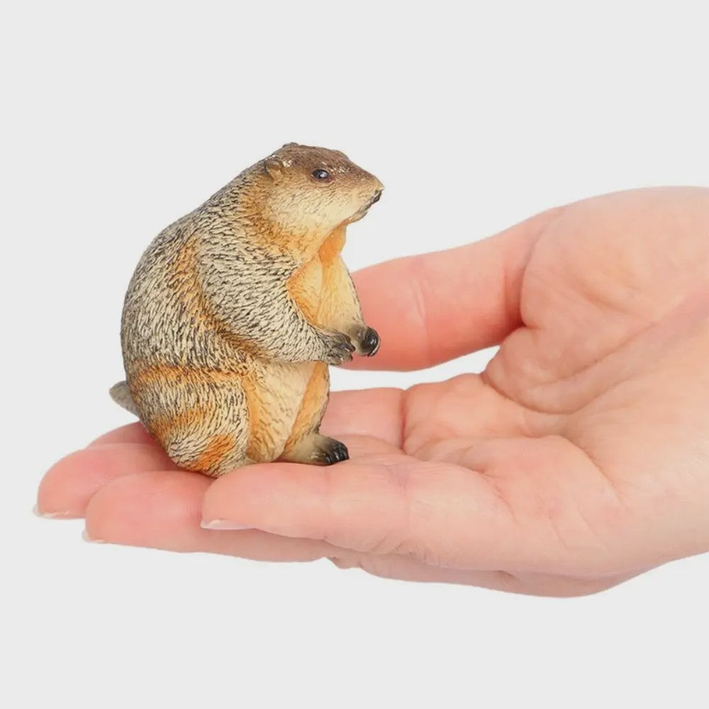 Realistische Marmot Beeldjes - PVC Sierfiguren voor Huisdecoratie