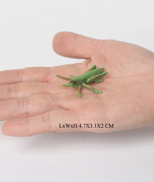Realistische Insecten Model Figuren: Bidsprinkhaan, Bladwesp & Meer - Educatief Speelgoed & Decoratie