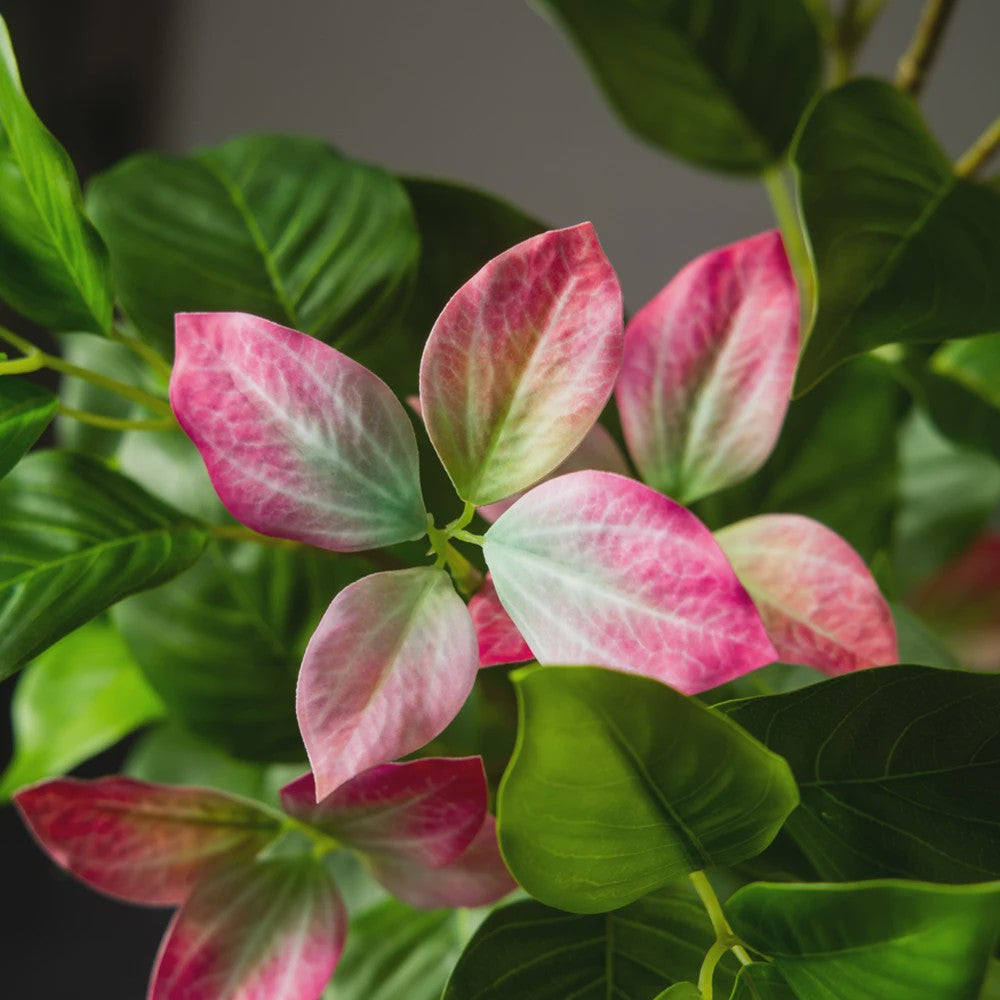 Grote Kunstboom Ficus Magnolia Banyan Nandina - 82-144cm