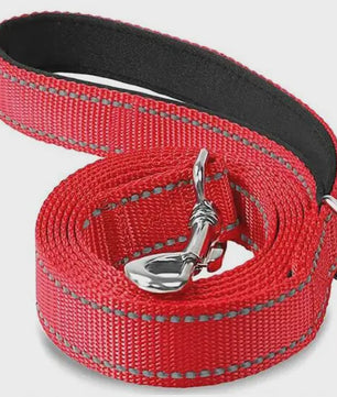 Veilige Hondentuig & Lijn Set met Nachtreflectie - Padded Handvat