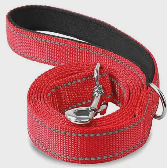 Veilige Hondentuig & Lijn Set met Nachtreflectie - Padded Handvat