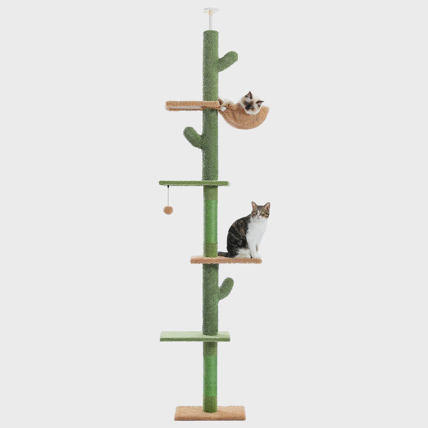 Cactus Kattenboom 5-Tier Vloer tot Plafond Klimpaal met Hangmat & Krabpaal