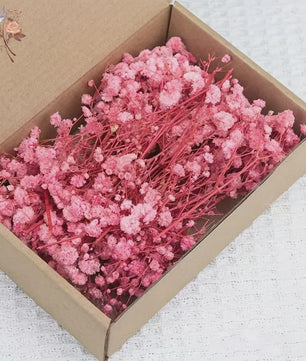 Gedroogde Mini Gipsenkruid Bloemen (100 stuks) - DIY Decoratie & Cadeau