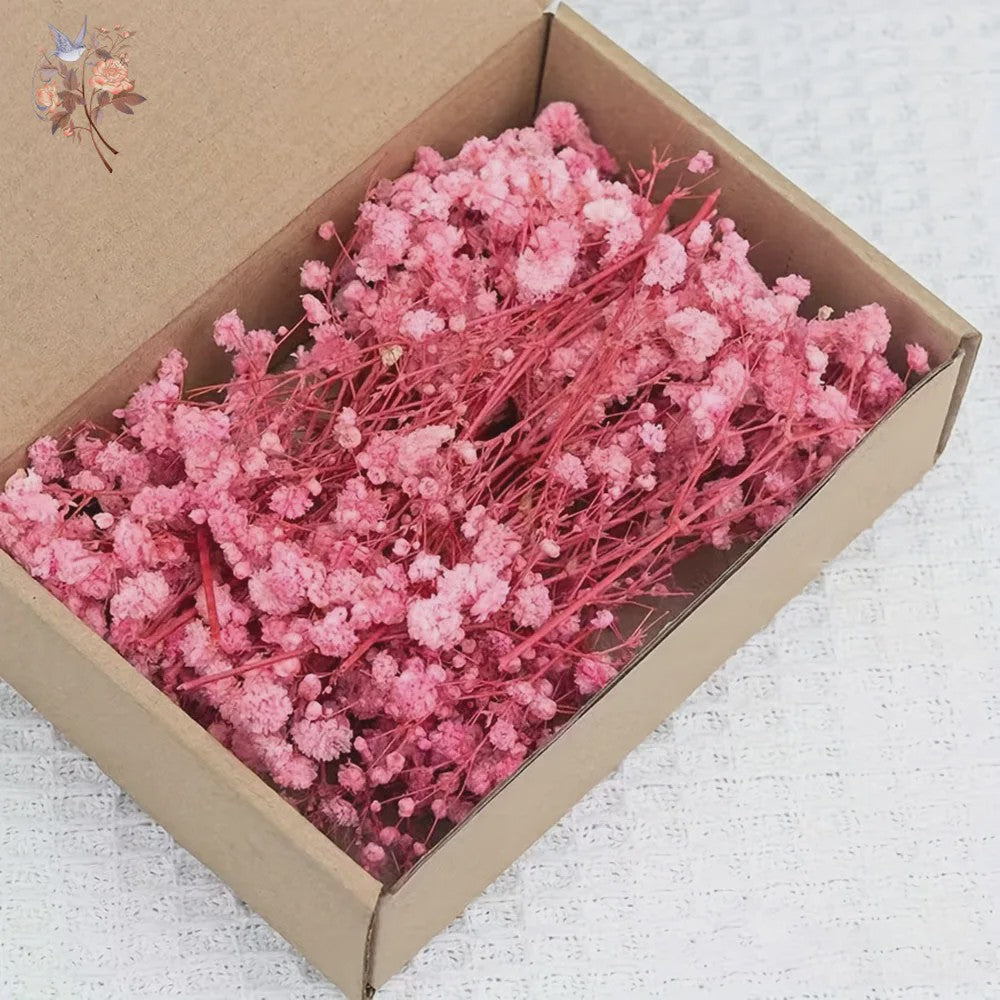 Gedroogde Mini Gipsenkruid Bloemen (100 stuks) - DIY Decoratie & Cadeau