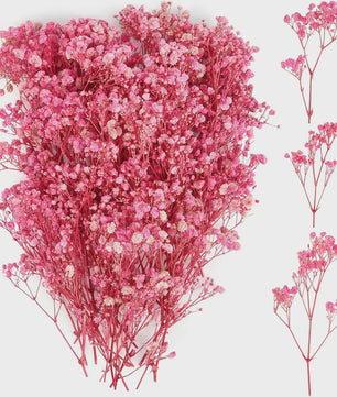 110 Stuks Gedroogde Baby's Breath (Gypsophila) - Boho Decoratie & Knutselmateriaal