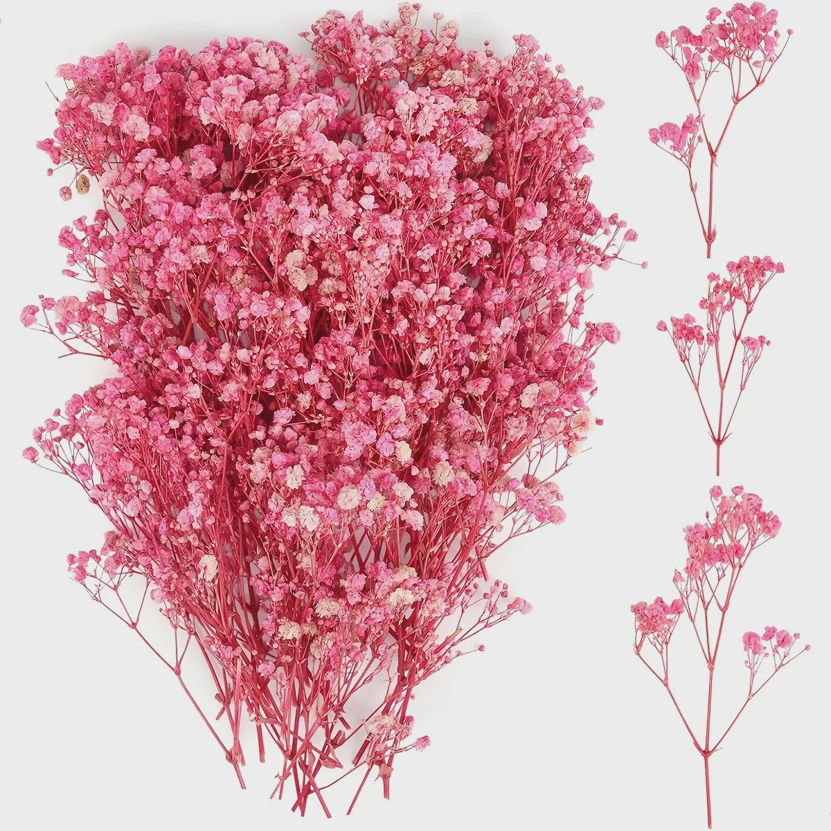 110 Stuks Gedroogde Baby's Breath (Gypsophila) - Boho Decoratie & Knutselmateriaal