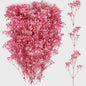 110 Stuks Gedroogde Baby's Breath (Gypsophila) - Boho Decoratie & Knutselmateriaal
