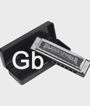 Professionele Diatonische Blues Harmonica - 10 Gaten, 20 Tonen, Inclusief Koffer