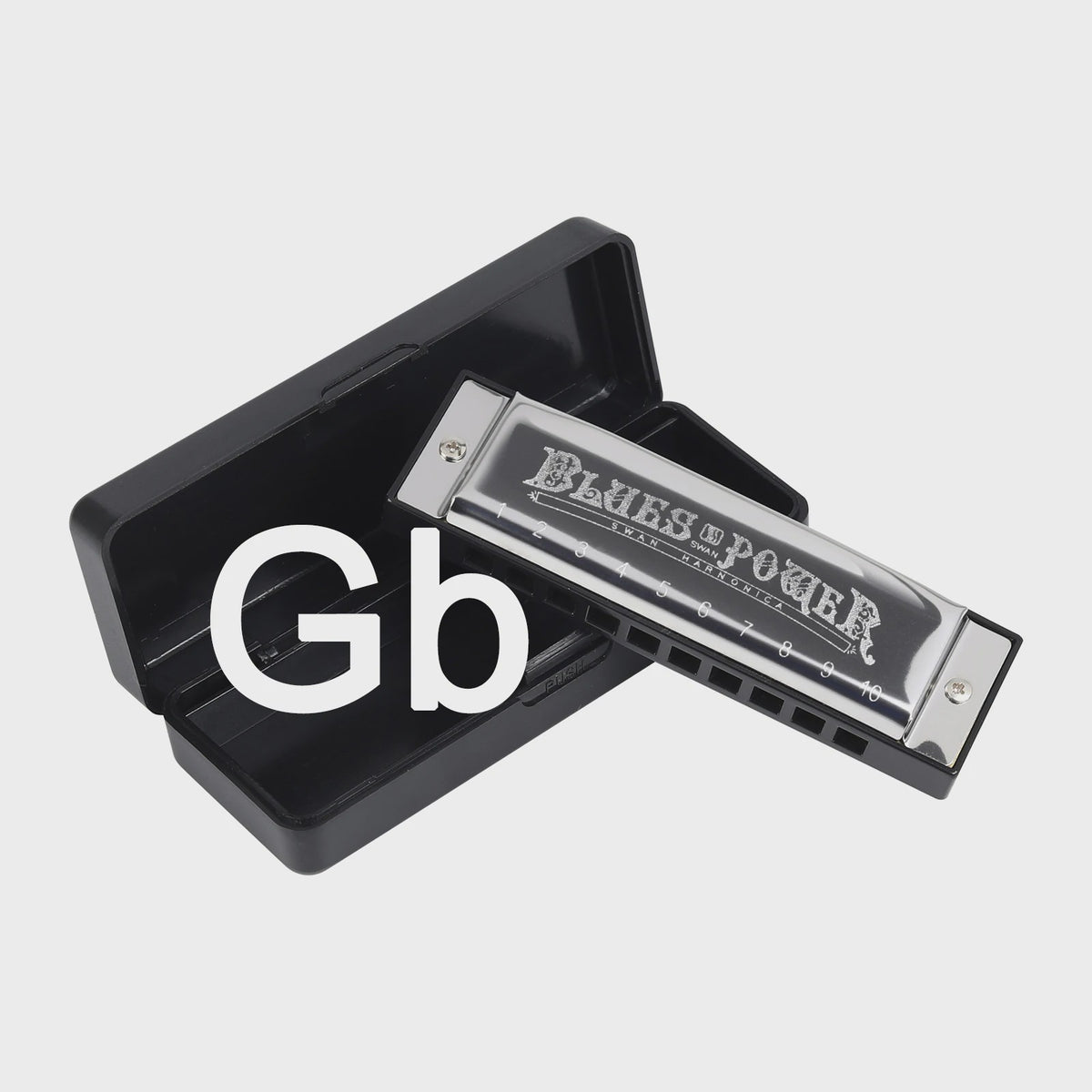 Professionele Diatonische Blues Harmonica - 10 Gaten, 20 Tonen, Inclusief Koffer