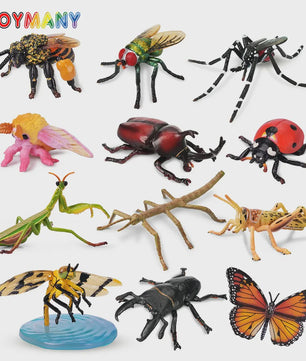 Toymany 12-delige Insecten Speelgoed Set - Realistische Mini Figuren voor Kinderen, Cadeau & Taartdecoratie