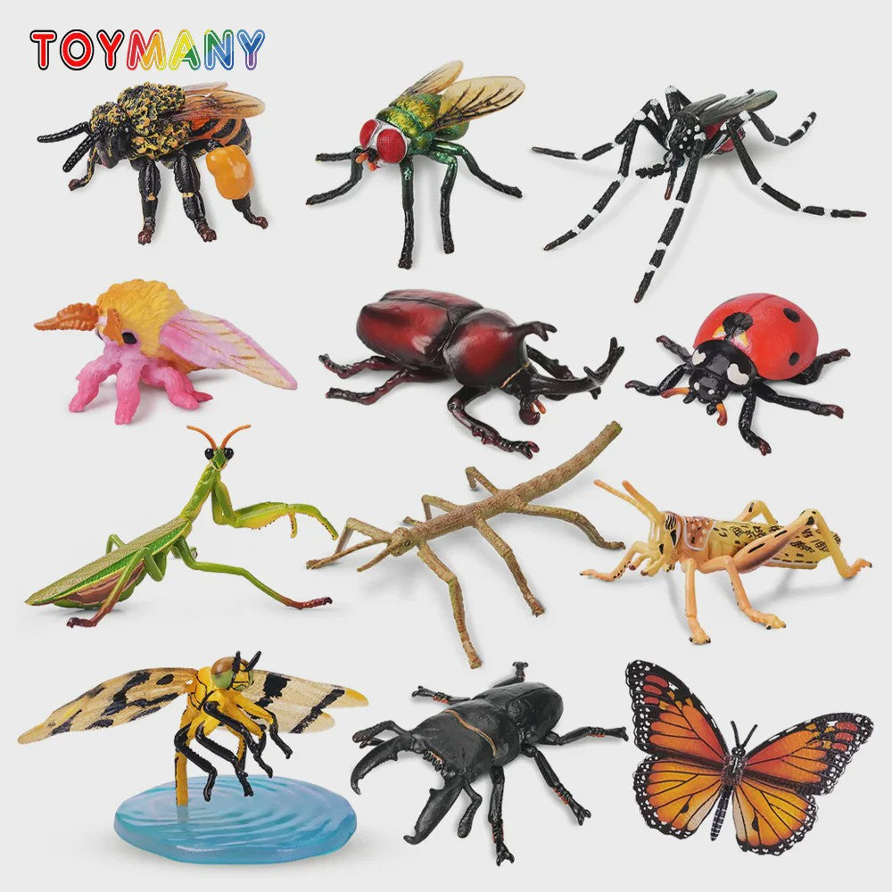 Toymany 12-delige Insecten Speelgoed Set - Realistische Mini Figuren voor Kinderen, Cadeau & Taartdecoratie