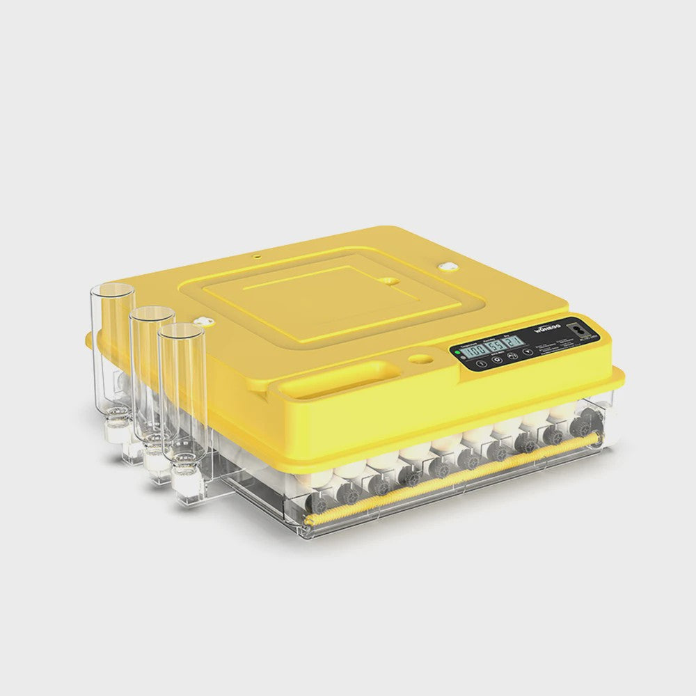 Automatische Broedmachine 288 Eieren - Volledig Automatisch met Temperatuur-, Water- en Keerfunctie - Geschikt voor Kip, Eend, Gans, Kwartel, Duif, Schildpad