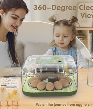 Automatische Broedmachine voor 12 Eieren met Temperatuur- en Vochtigheidsregeling