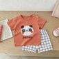 Zomerse Kinderkleding Set: T-shirt met korte mouwen en shorts