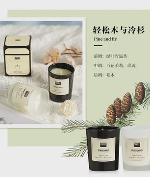 Geurkaars met Plantenextract - Aromatherapie & Luchtzuivering voor Huis en Slaapkamer