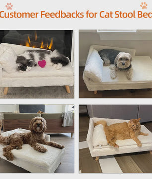 Luxe Verhoogd Hondensofa Bed met Rugleuning & Pluche Kussen - Stijlvolle Lounger voor Kleine/Middelgrote Honden & Katten