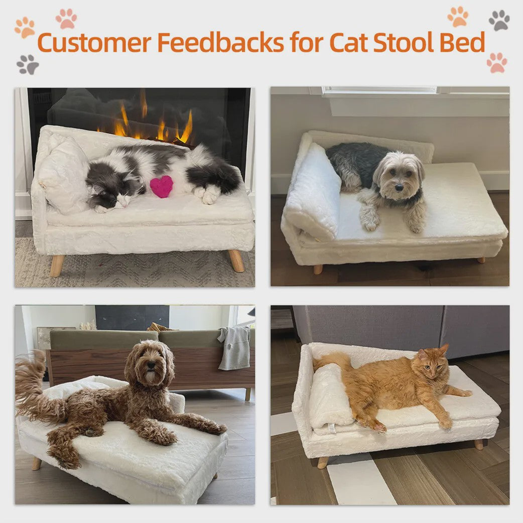 Luxe Verhoogd Hondensofa Bed met Rugleuning & Pluche Kussen - Stijlvolle Lounger voor Kleine/Middelgrote Honden & Katten