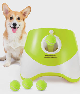 Automatische Hondenspeeltjes Bal Werper met 3 Tennisballen - USB Oplaadbaar