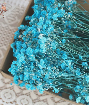 Gedroogde Mini Gipsenkruid Bloemen (100 stuks) - DIY Decoratie & Cadeau